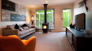 TV, fireplace, DVD player, stereo