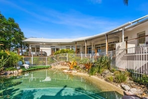 Pool - Tropical Family Oasis, Sunshine Beach (Sunshine Beach)
