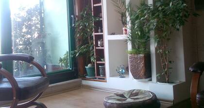 Pieni mutta erittäin kodikas apartament. Ihana kaksi ihmistä