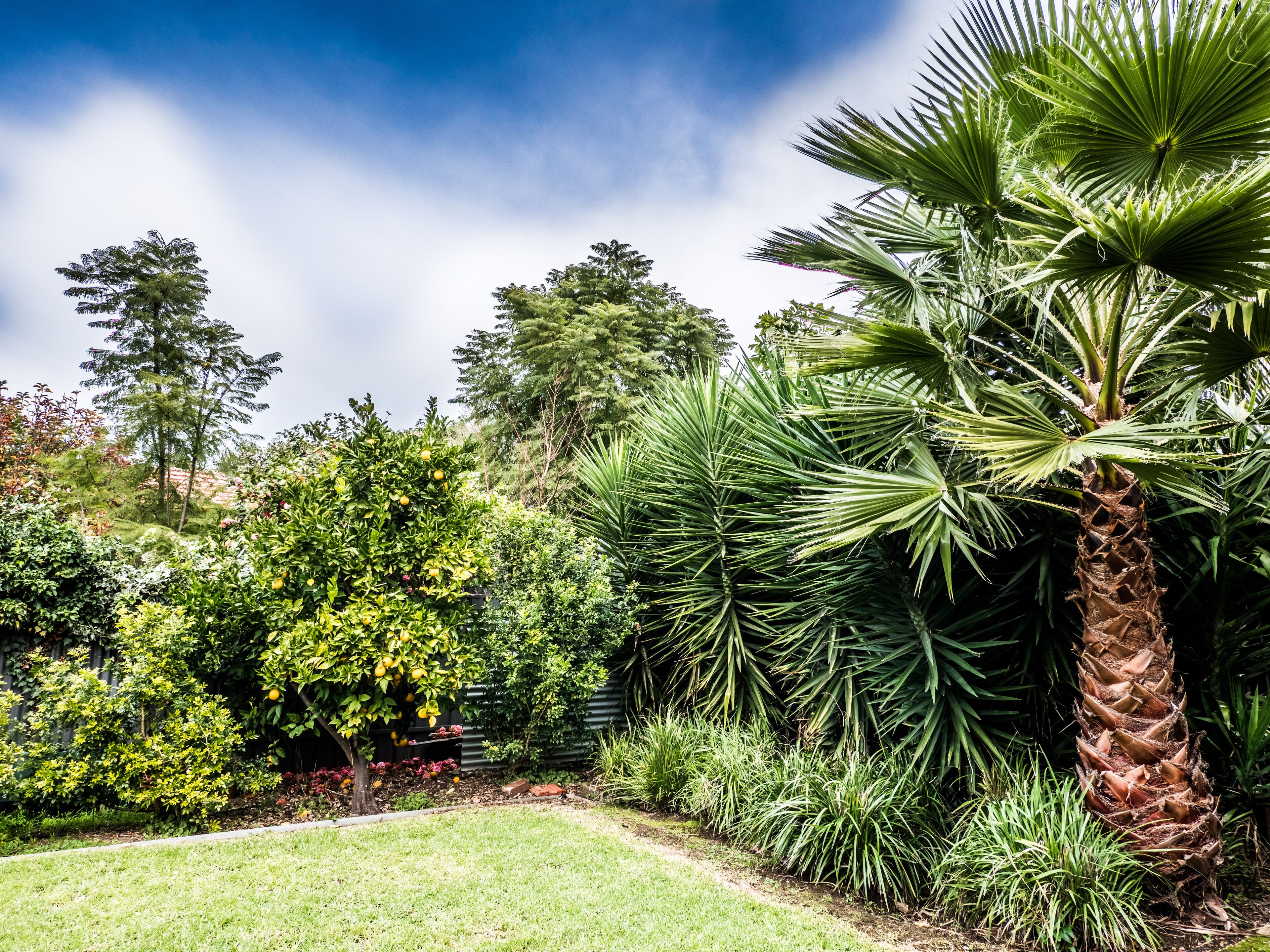  Millswood Manor  - Character Home — image 25