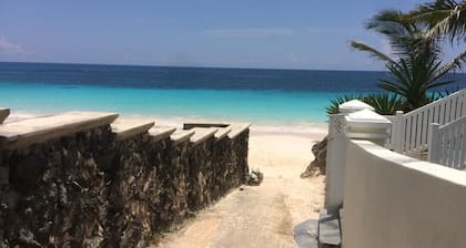 Wild Bird, Paget Pool, playa, cargador Twizy y Cocineta - Parroquias centrales