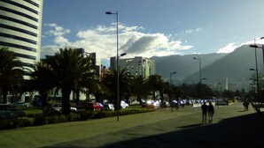 A city street with palm trees, cars, and buildings. - Private Apartment in Quito's Best Neighborhood (Quito)