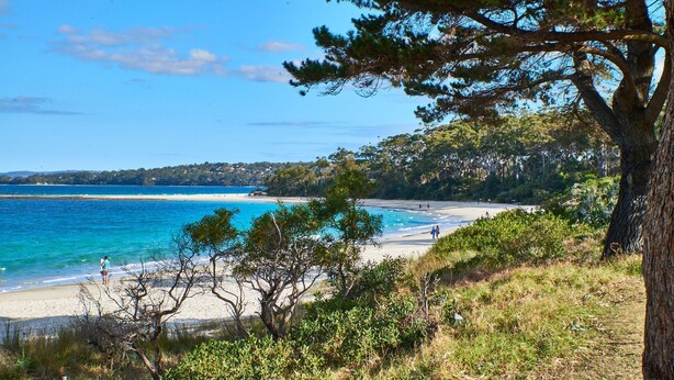 Ein Strand mit klarem, blauem Wasser, sandigem Ufer und dichter Vegetation.