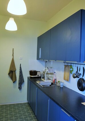 Fridge, oven, stovetop, coffee/tea maker