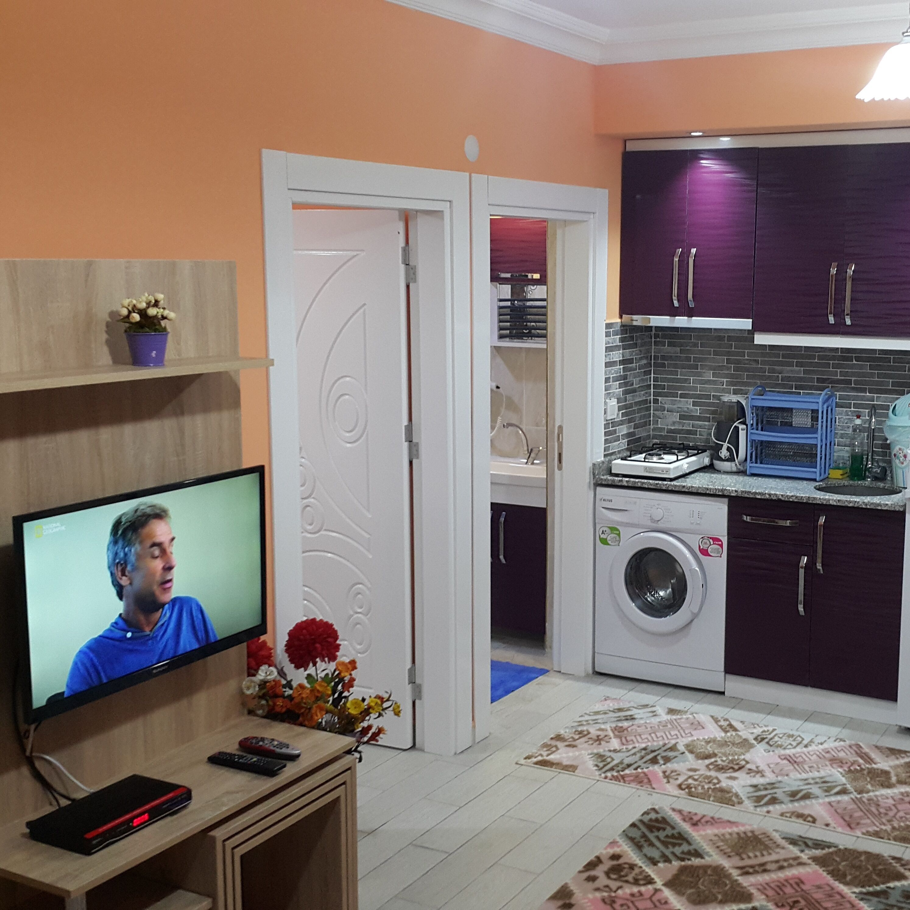 Your houses are Located in the city center, modern vip service, quality service