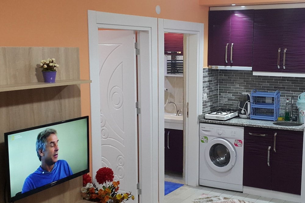 Your houses are Located in the city center, modern vip service, quality service