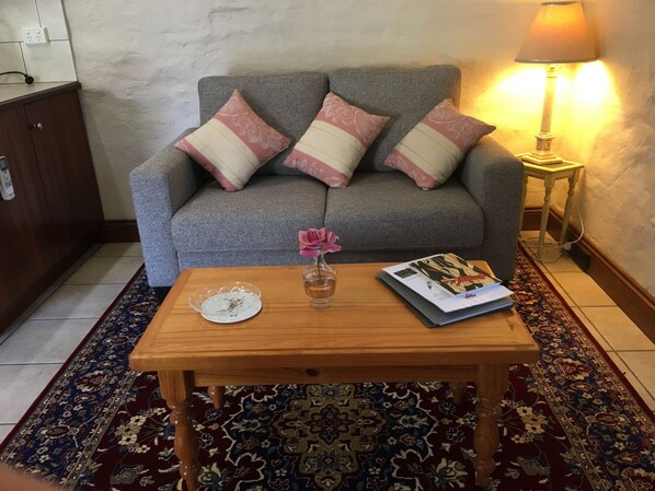 Smart TV, DVD player, books, video library