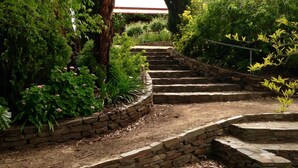 A stone staircase surrounded by lush greenery and flowering plants.