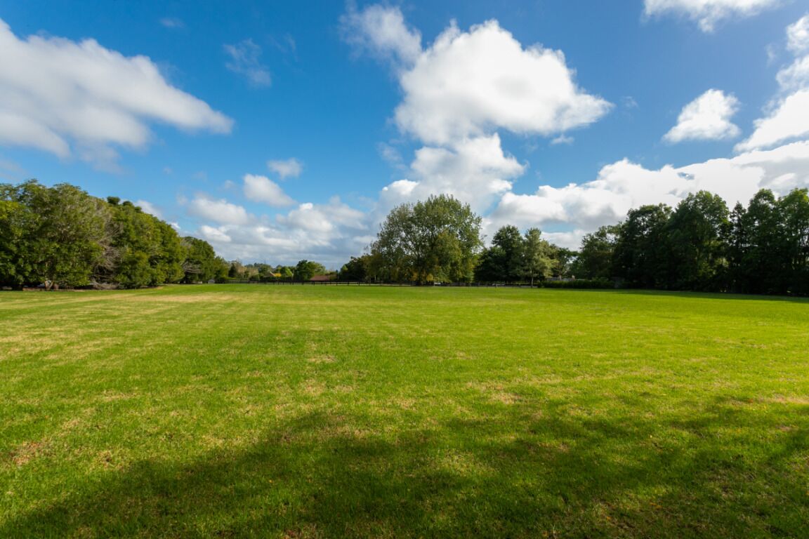 Un vaste champ herbeux, dégagé, avec des arbres en arrière-plan, sous un ciel bleu clair.