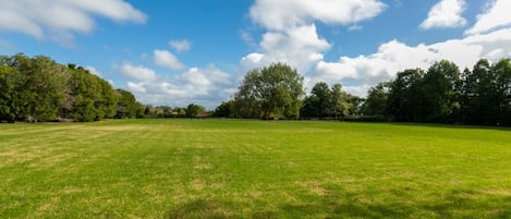 Un vaste champ herbeux, dégagé, avec des arbres en arrière-plan, sous un ciel bleu clair.