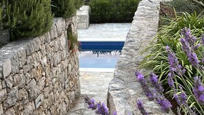 Ein Steinweg führt zu einem Pool, der von Grünpflanzen und Lavendel umgeben ist.
