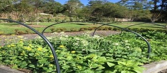 Garden Hill Retreat: Beautiful Sandstone Cottage: Swimming pool & Tennis court