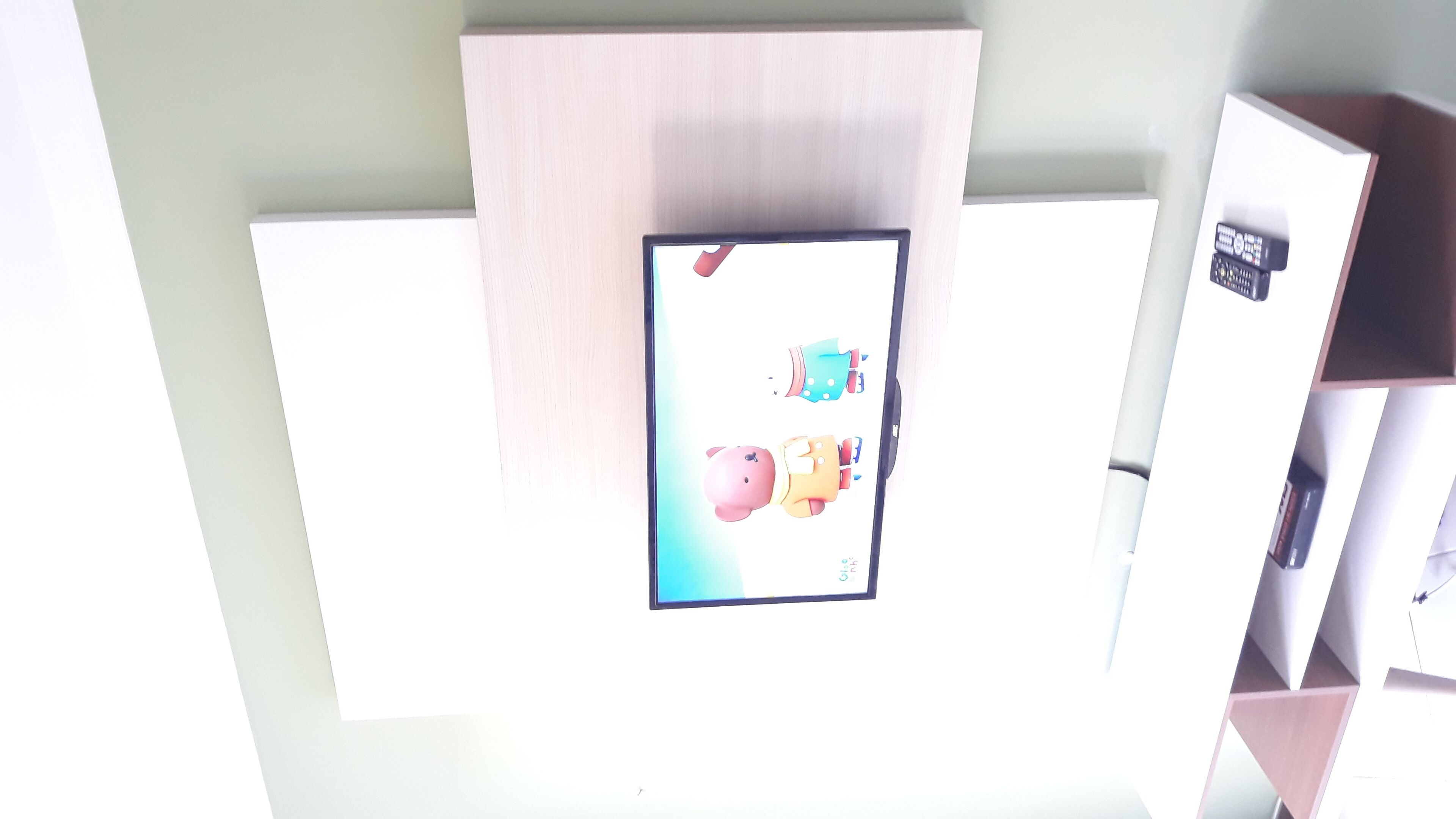 Brand new Stella Mares Furnished