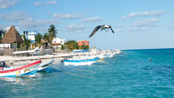 Marina - House in Villas Morelos 5 min from the beach / (Villas Morelos I)