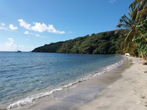 Una playa con aguas transparentes, una orilla arenosa y una colina con vegetación densa.