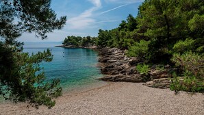 Una costa rocosa con agua cristalina, bordeada por frondosos árboles verdes y una vista distante de la línea costera.