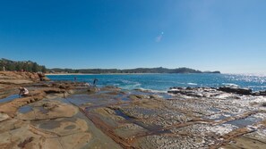 Beach - Marese 12 - Beachfront Unit (AVOCA BEACH)