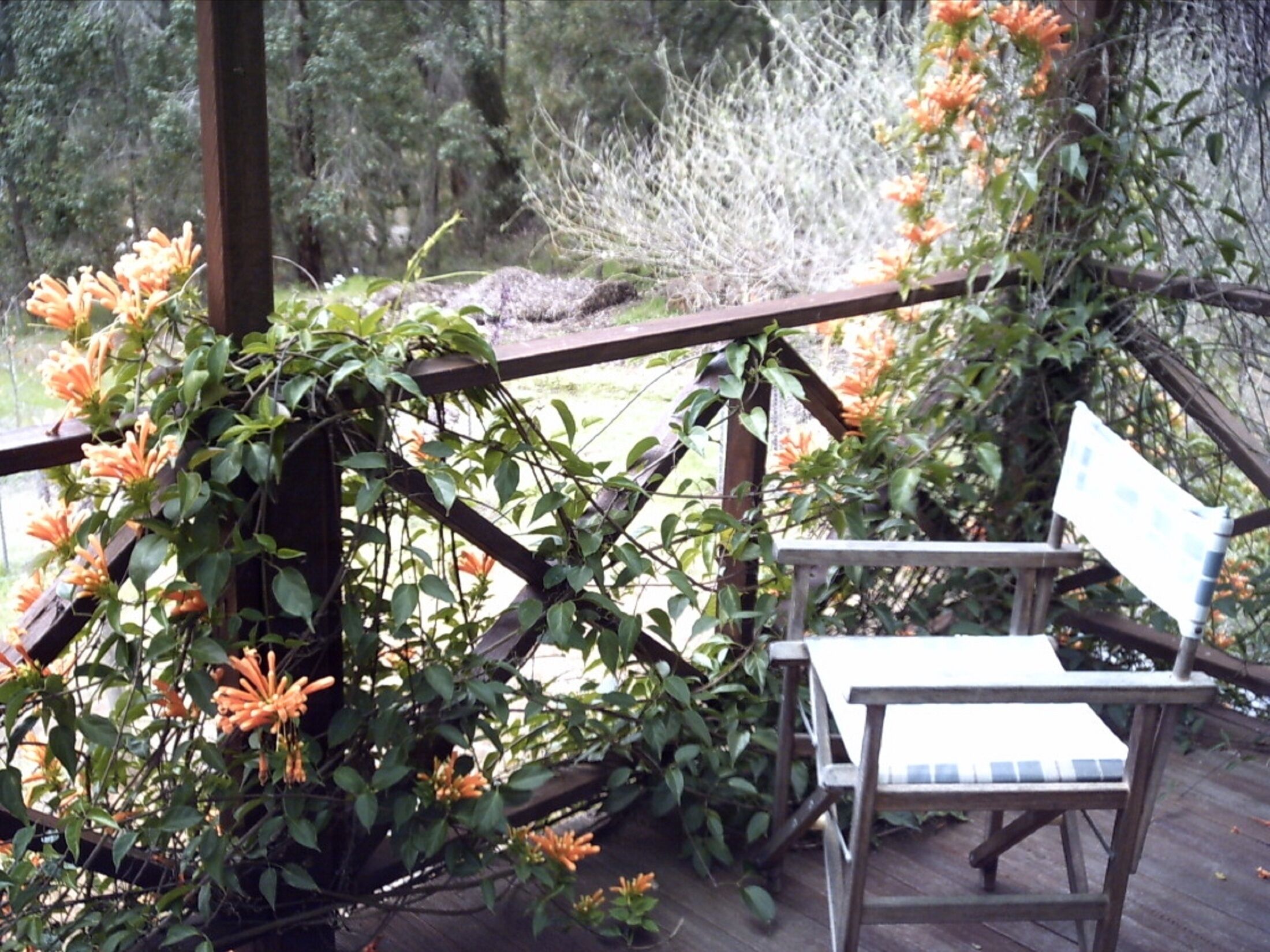 Gumnut Juliet balcony