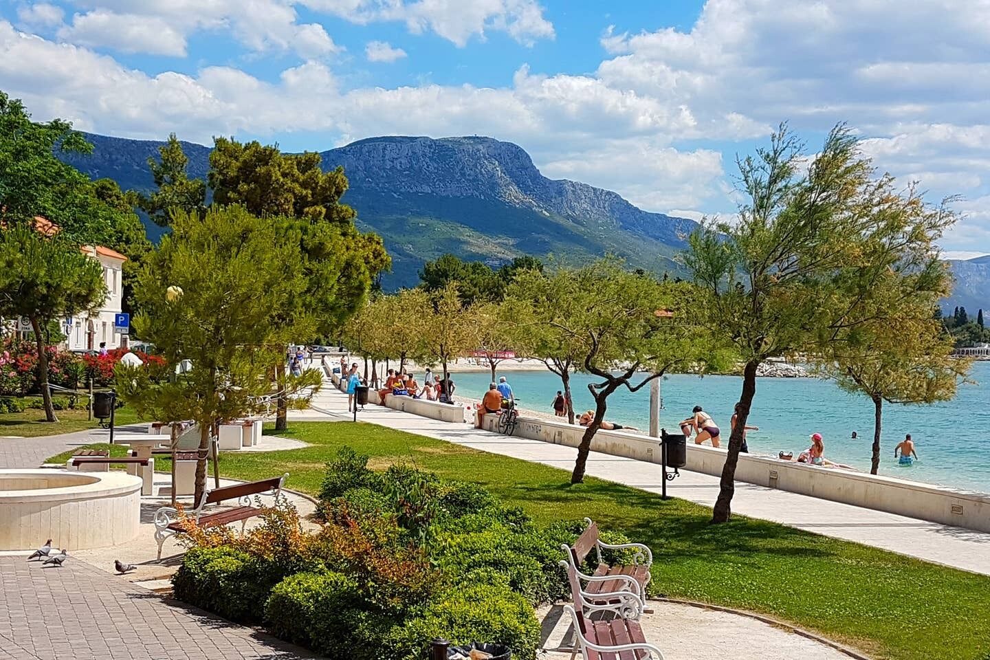 A lakeside park with benches, trees, and a view of the lake and mountains.