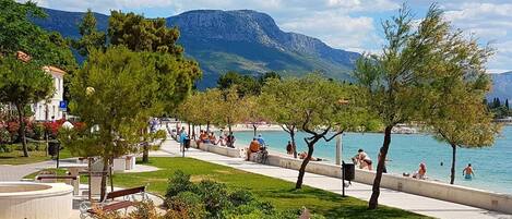 A lakeside park with benches, trees, and a view of the lake and mountains.