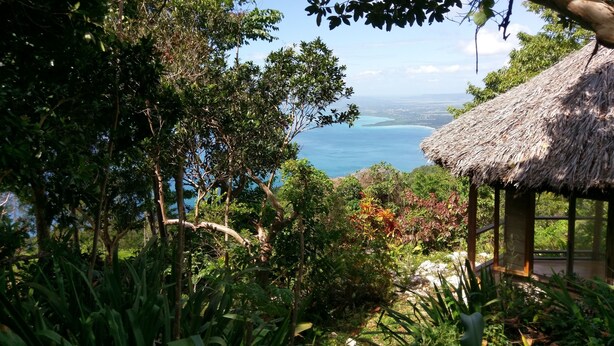A thatched-roof hut surrounded by lush greenery and overlooking a coastal view. - Dragon fly Cottage (Cave)