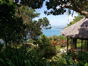 المنطقة المحيطة بالمنشأة