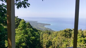 A view from a covered area overlooking a coastal landscape with dense greenery and a clear sky. - Dragon fly Cottage (Cave)