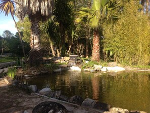 Un jardín tranquilo con un estanque, rodeado de rocas y diversas especies de árboles, entre ellas palmeras.