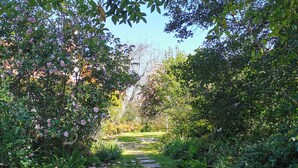 A stone pathway through a lush garden with various plants and trees. - Lake House Benalla-  Late Sunday checkout available upon request (Benalla)