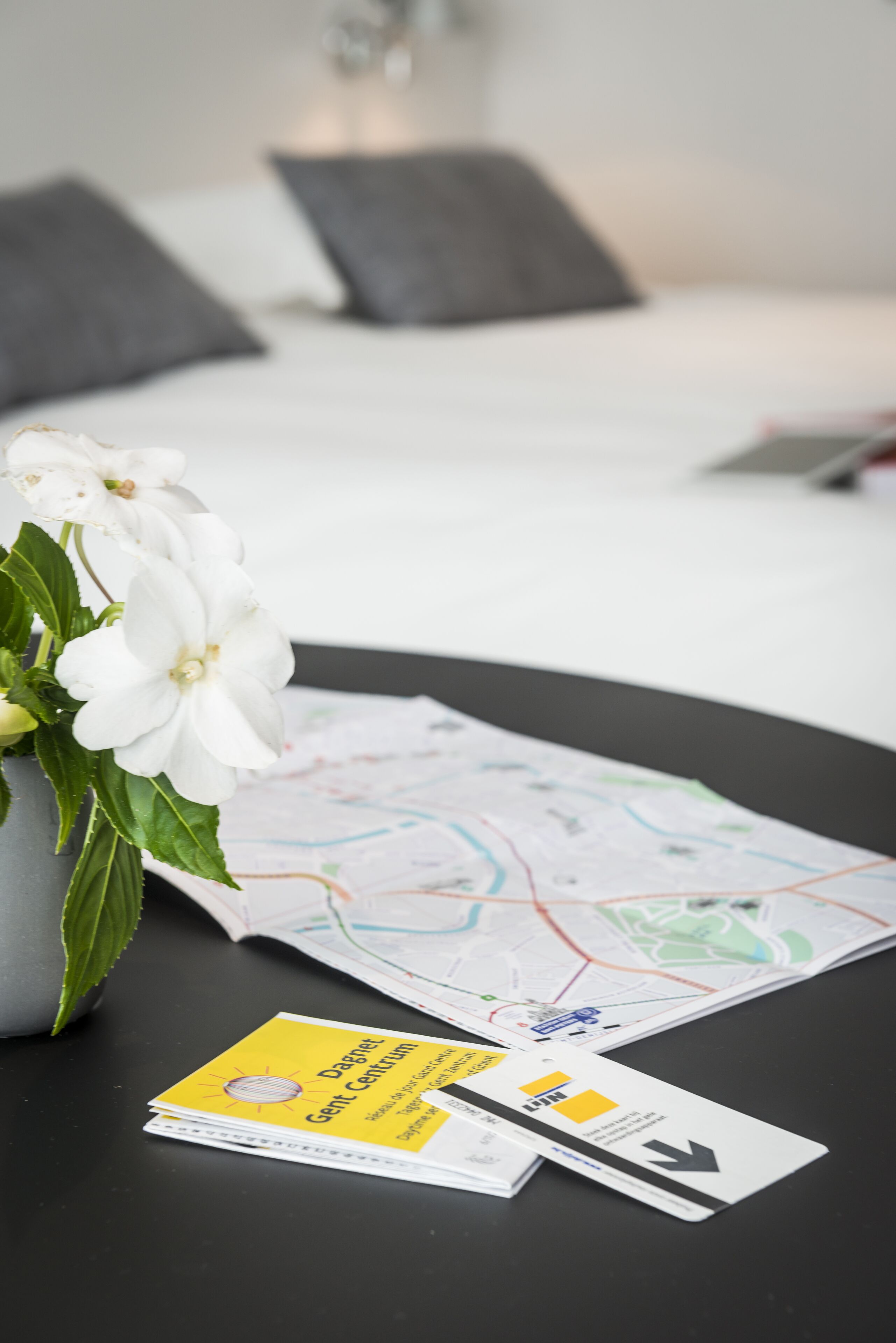 Ground floor studio in a green oasis within easy reach of the center of Ghent