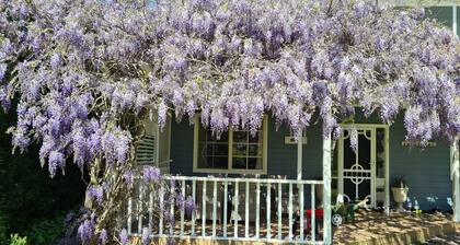 Casa familiar espaciosa y acogedora de calidad. A poca distancia de Bowral CBD