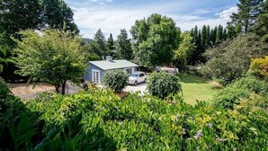 Una casa con techo verde, rodeada de abundante vegetación y árboles.