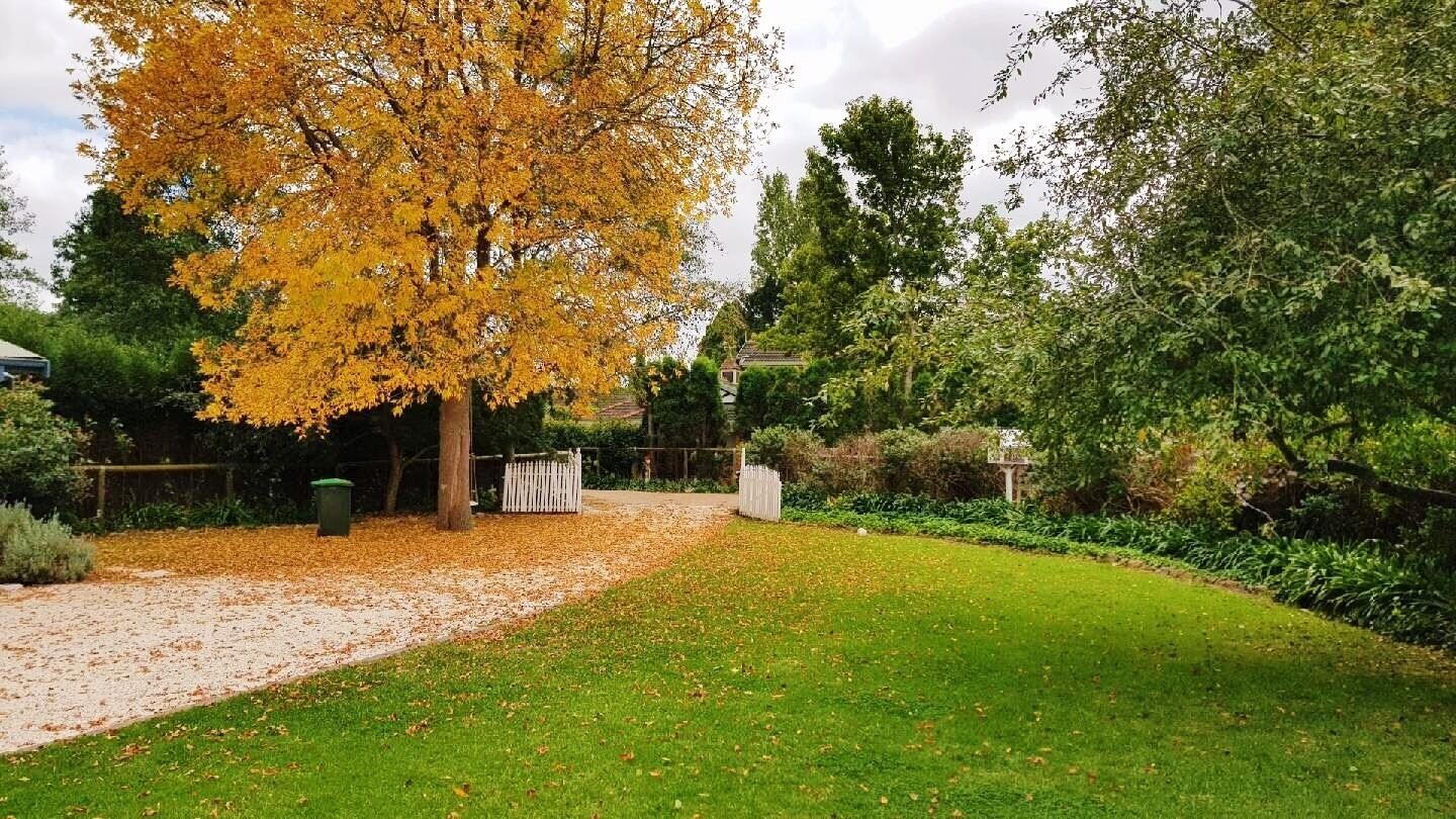 A garden with a large tree with yellow leaves, a gravel path, and a grassy area.