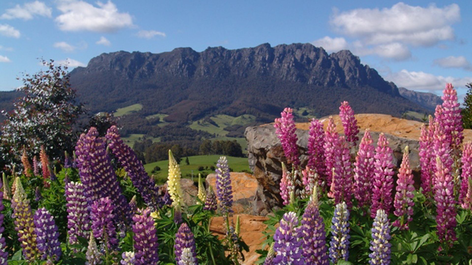 AAA Granary Accomm - Loft Studio Apartment — image 12