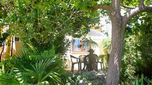 Un jardín con un árbol, una silla y una mesa.