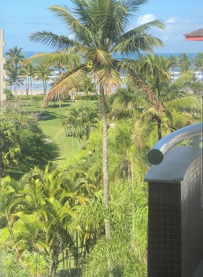 Property grounds - Amazing Beachfront Penthouse - Module 4 (São Lourenço)