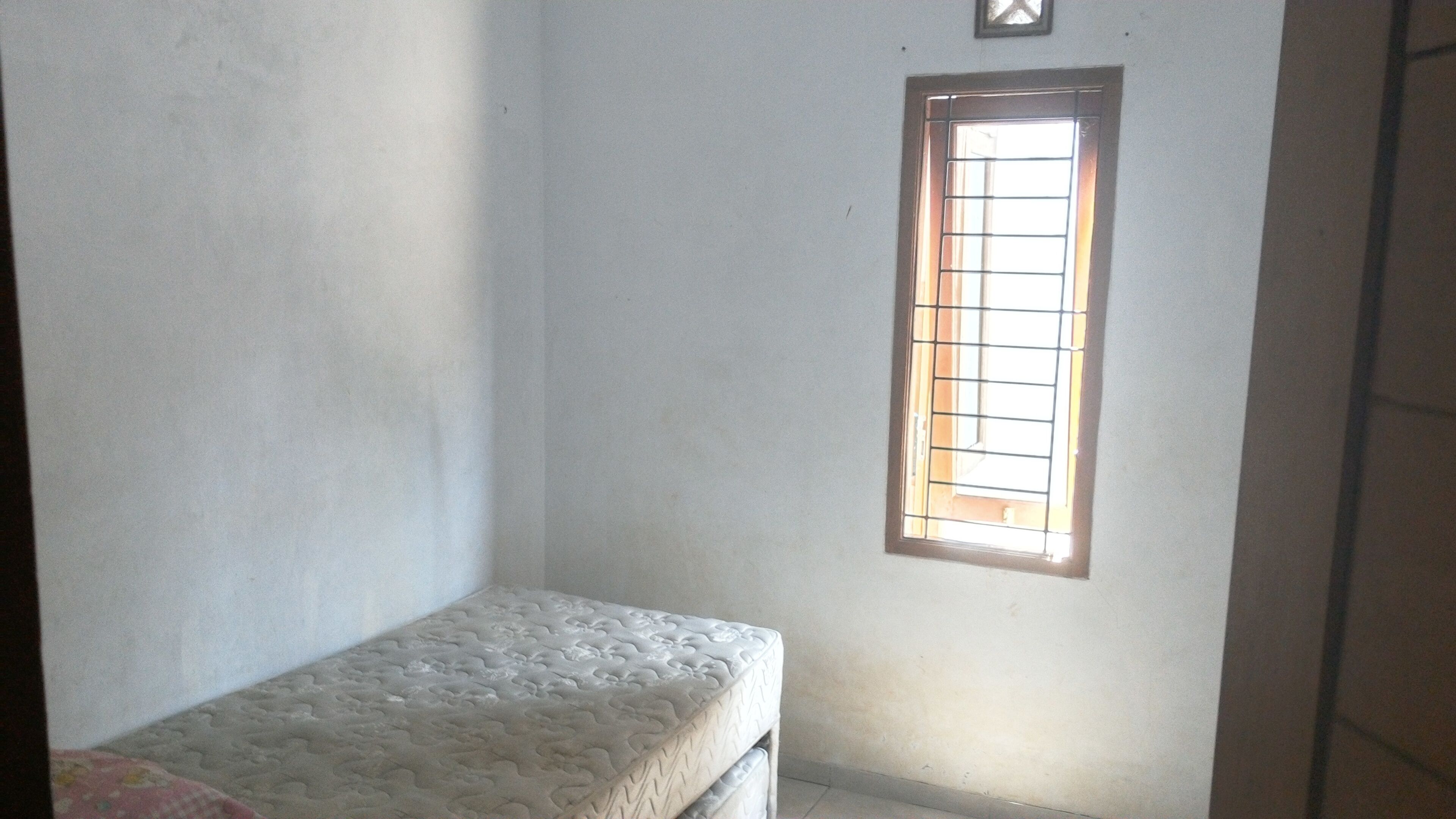 Adventures jungle & lake home