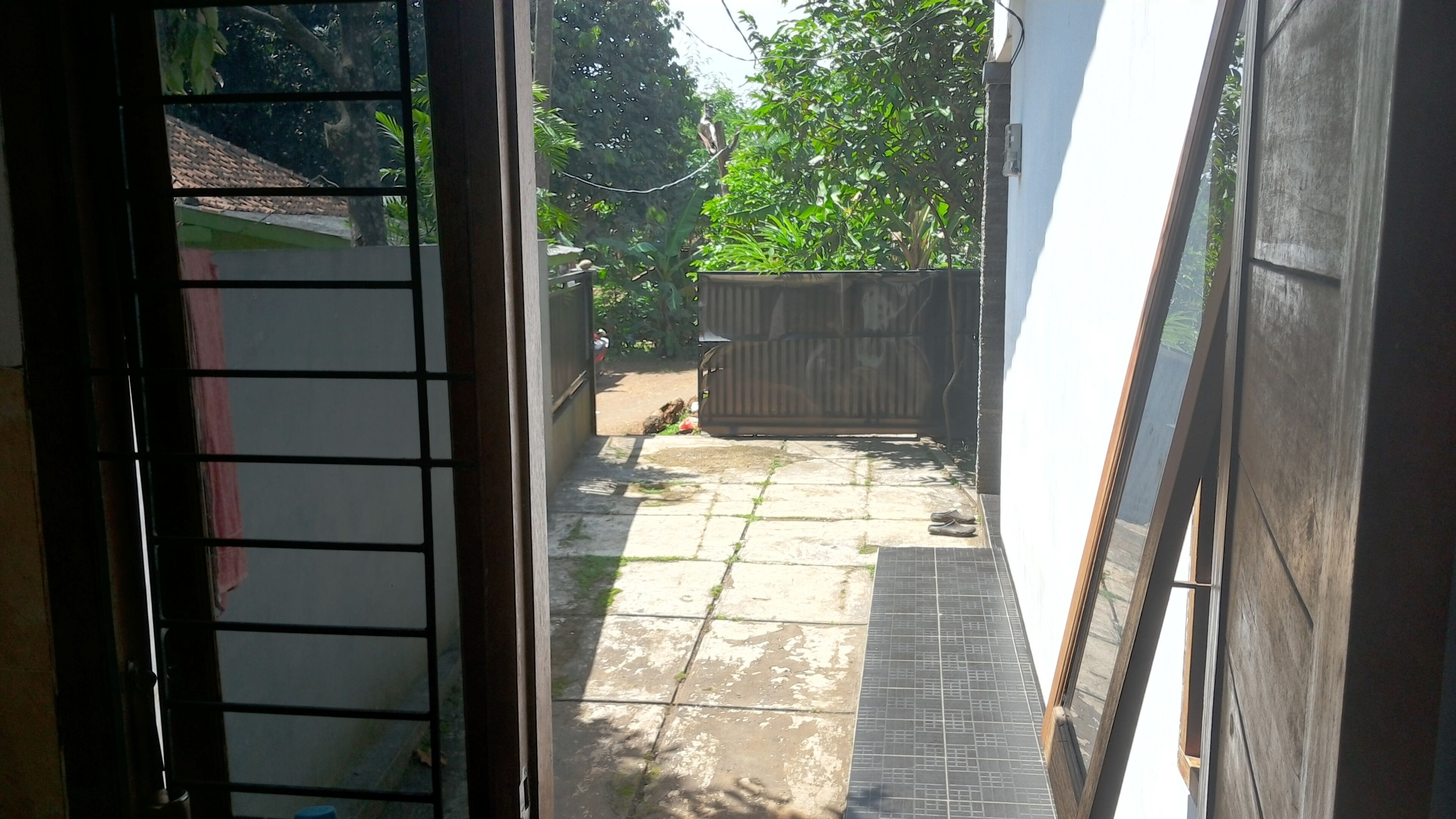 Adventures jungle & lake home