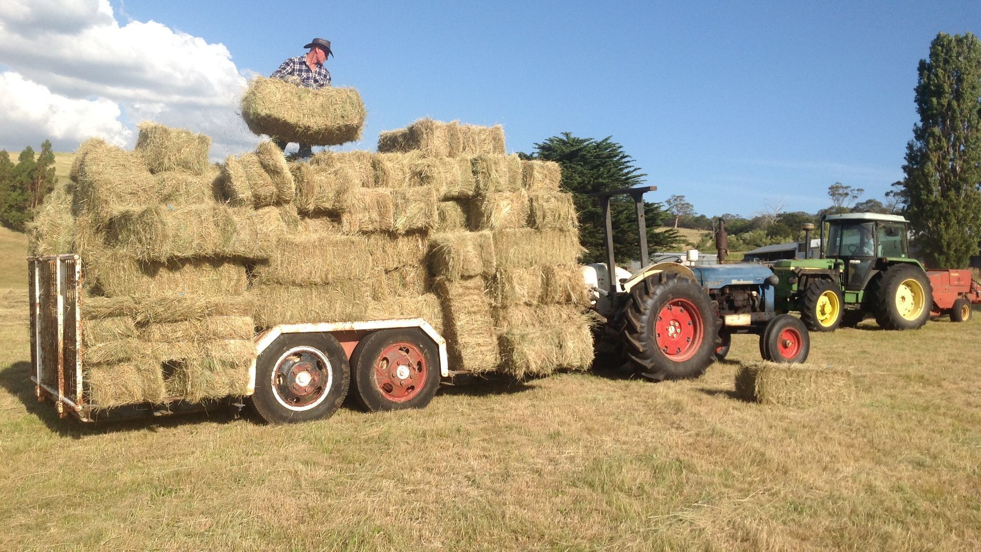 Glenayr Chardonnay Apartment — image 7