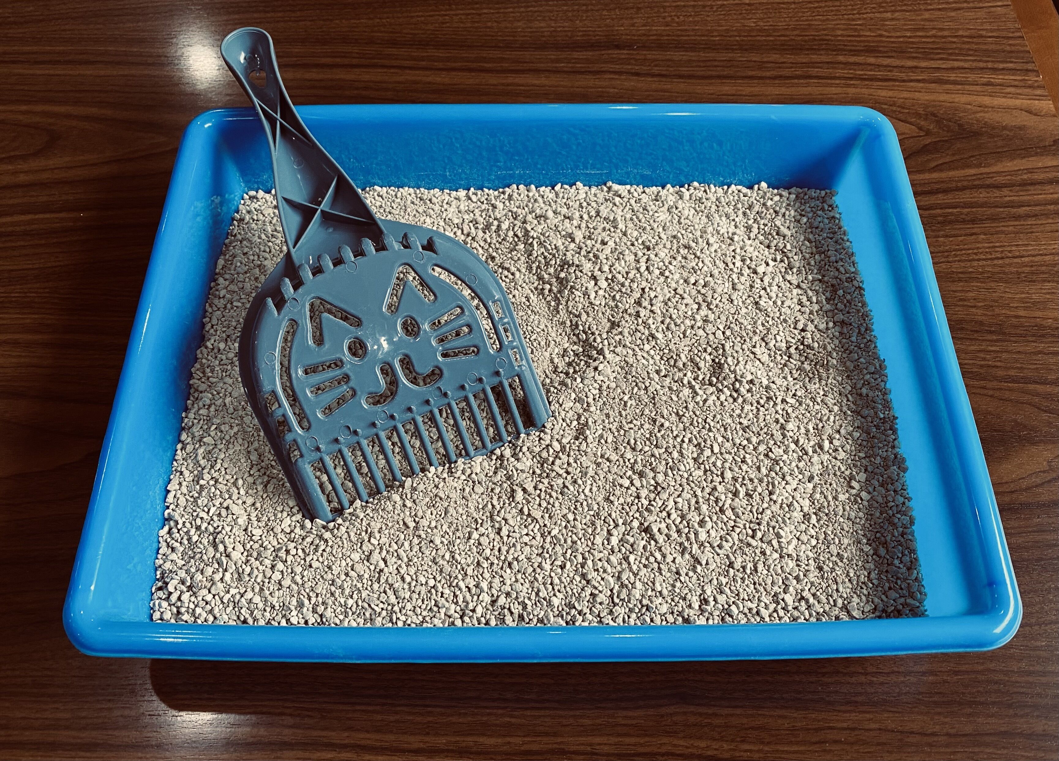 Photo - Hotel San Lucas