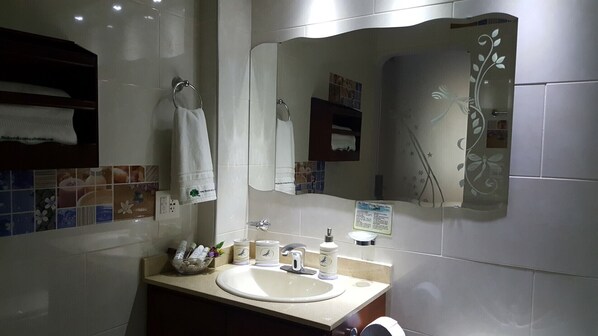 Combined shower/tub, jetted tub, hair dryer, bidet