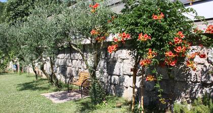 5 minutes drive from the city centre and the beach, far away from the city crowd