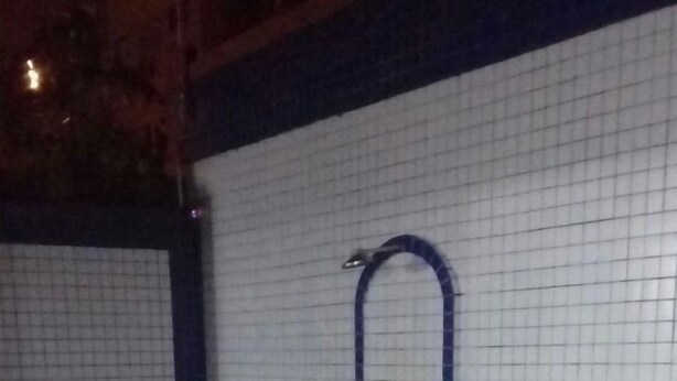 Une piscine intérieure avec deux chaises longues blanches et un escalier en métal menant à la piscine.