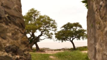 Área da propriedade