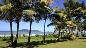 A tropical beach with palm trees and a view of the ocean.