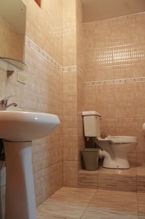 Shower, hair dryer, towels, toilet paper