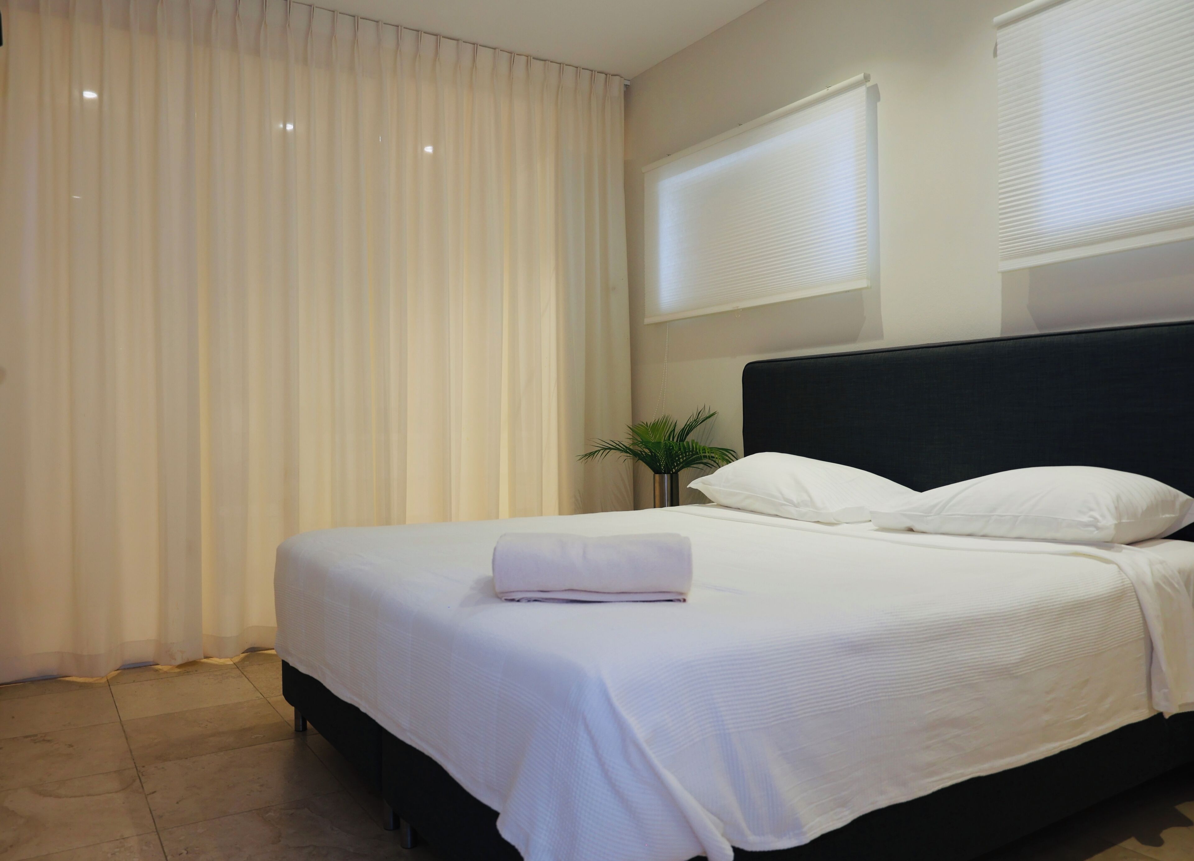 Una cama bien hecha con sábanas y almohadas blancas, un cabecero oscuro y una planta en maceta junto a la ventana.