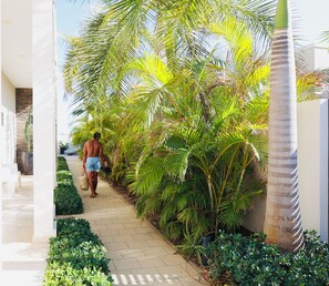 Property grounds - Palapa Suite # 1, walk to Eagle Beach (Eagle)