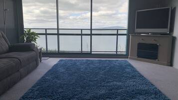 Smart TV, books, stereo