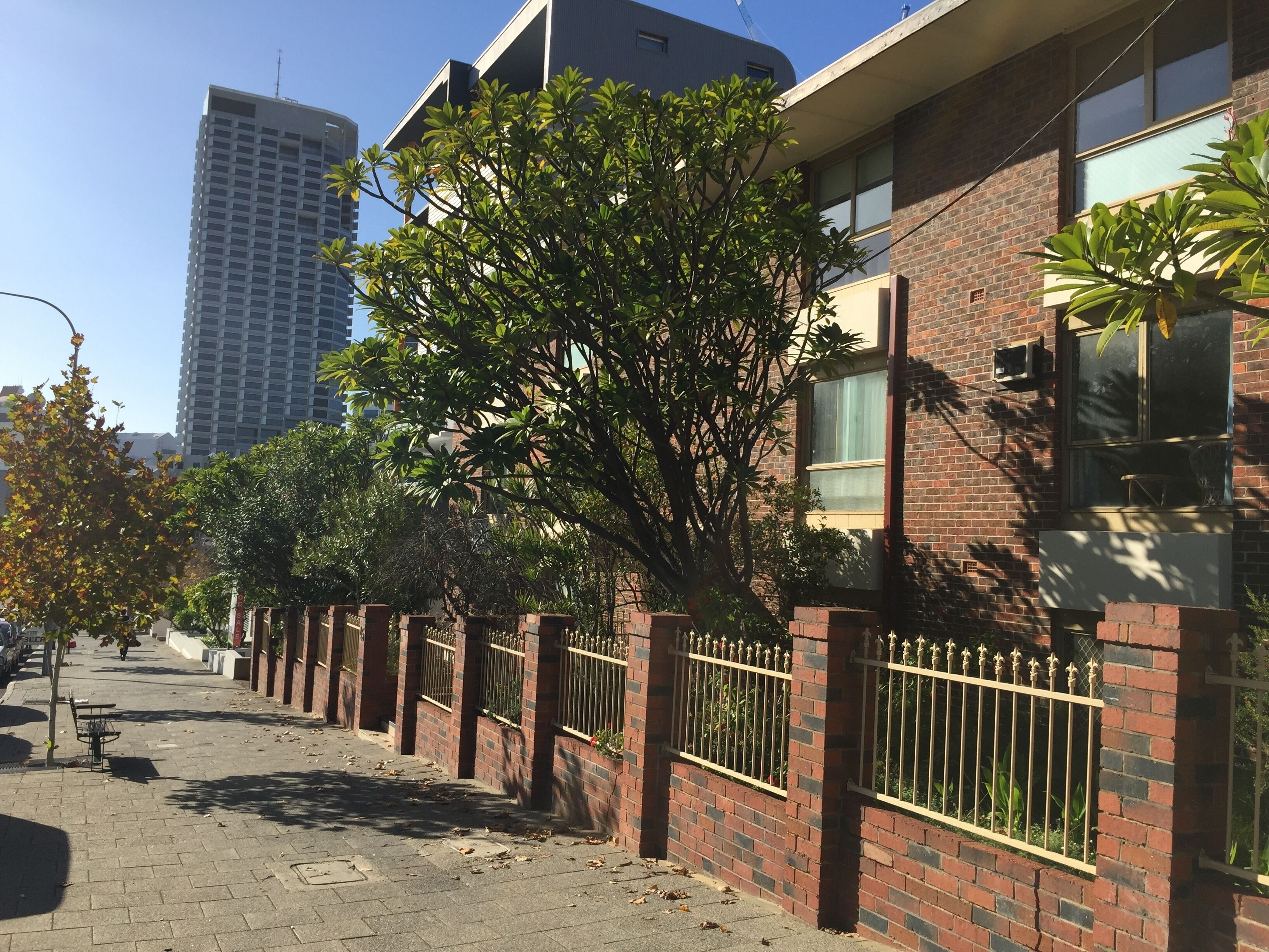 M107 CBD Location near Kings Park  — image 13